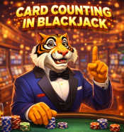 Card counting in blackjack